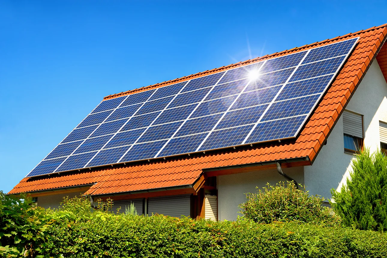 portfolio 2